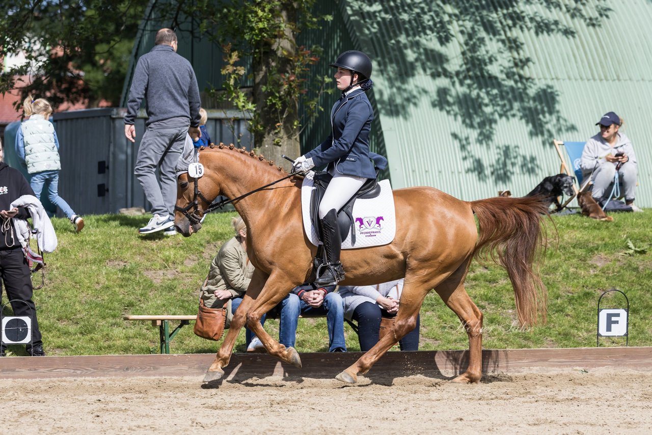 Bild 419 - Pony Akademie Turnier